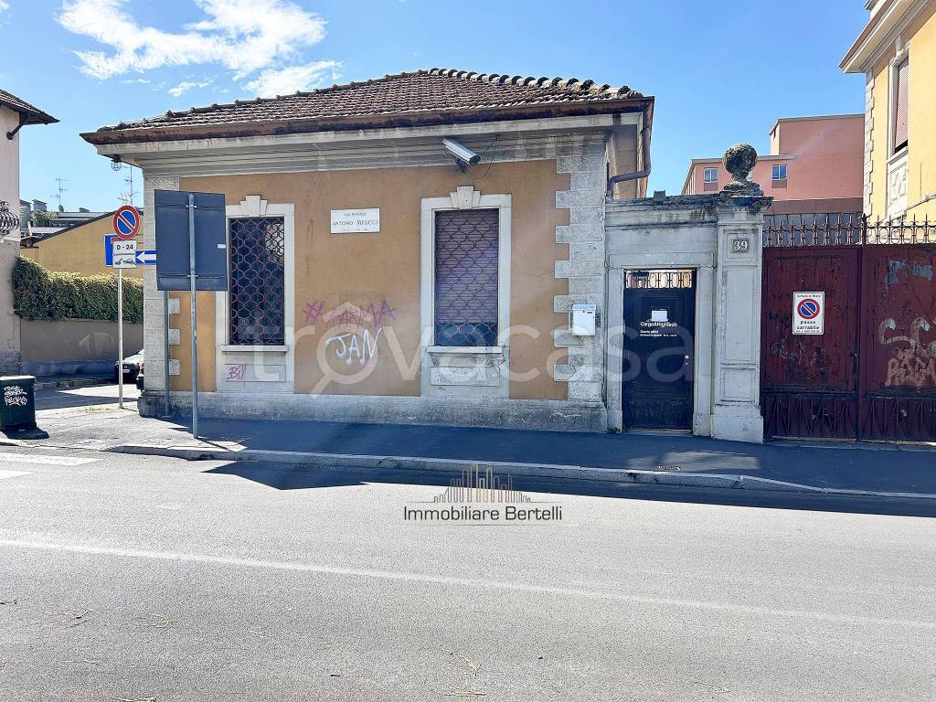 immagine annuncio 11 di 15