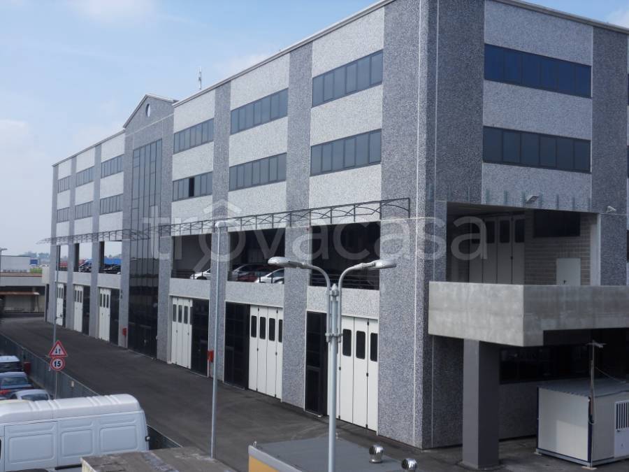 immagine annuncio 3 di 14