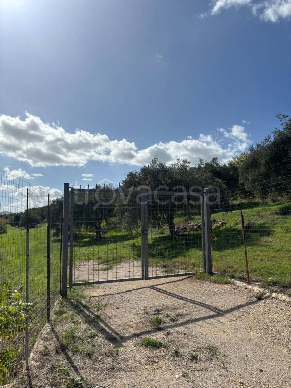 immagine annuncio 3 di 14