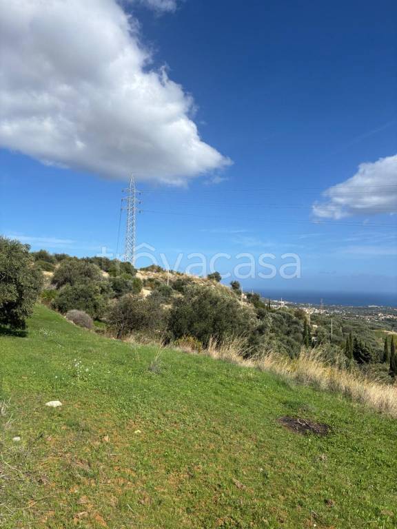 immagine annuncio 5 di 14