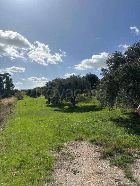 immagine annuncio 7 di 14