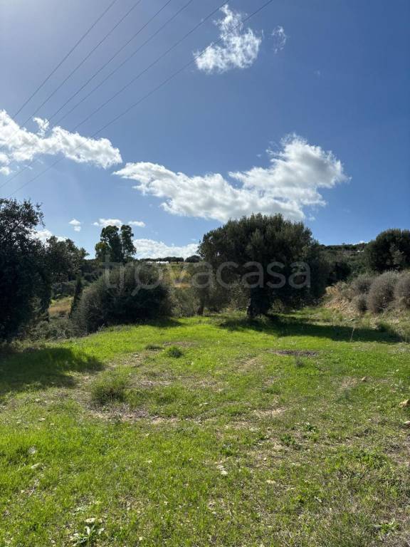 immagine annuncio 10 di 14