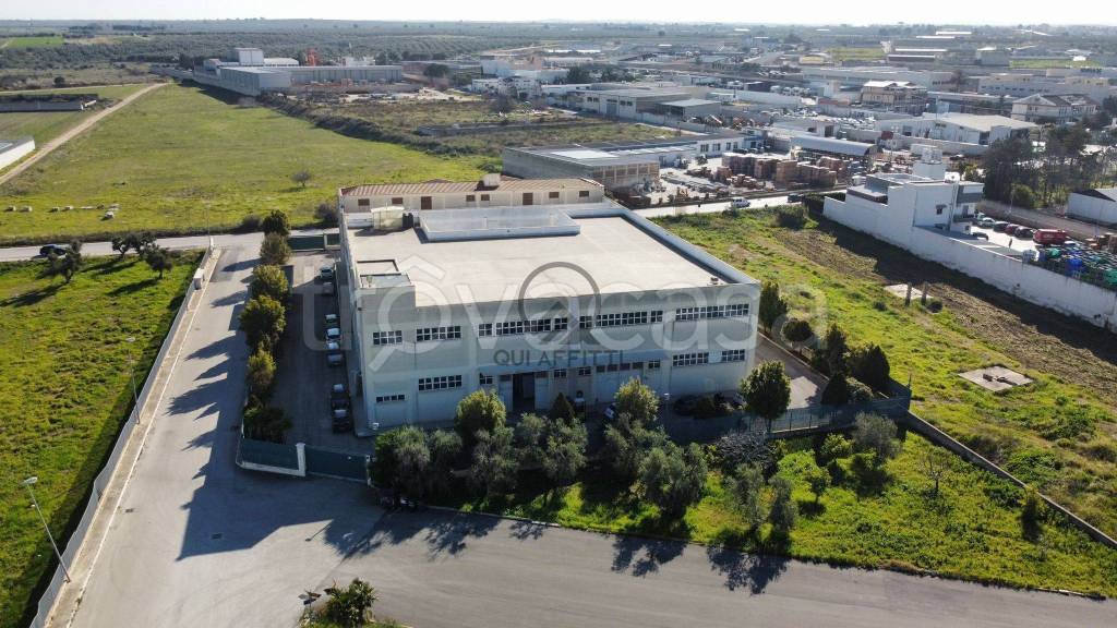 immagine annuncio 5 di 7