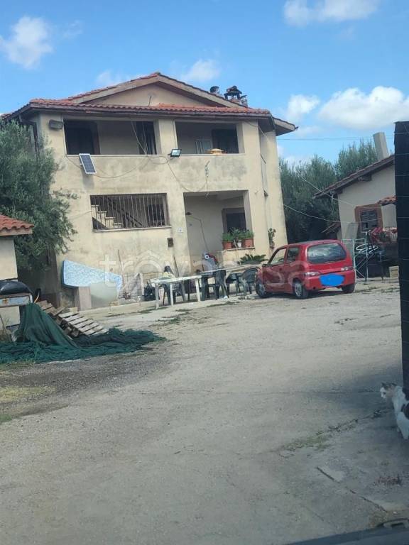 immagine annuncio 5 di 9