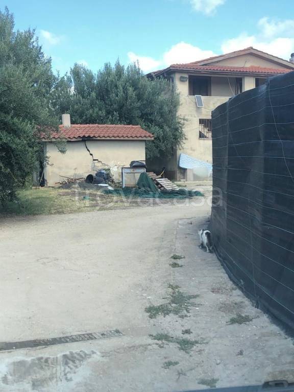 immagine annuncio 6 di 9