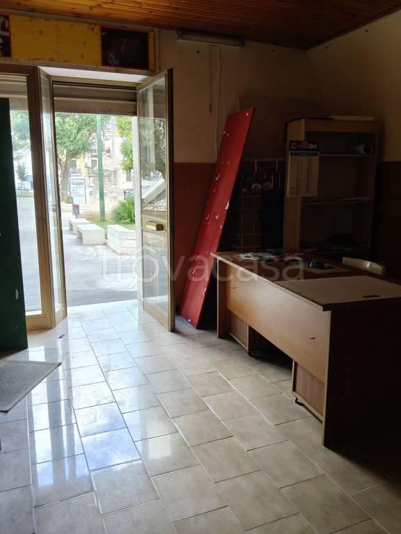 immagine annuncio 9 di 14