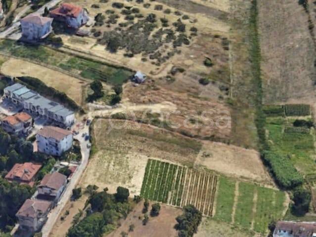 immagine annuncio 6 di 13