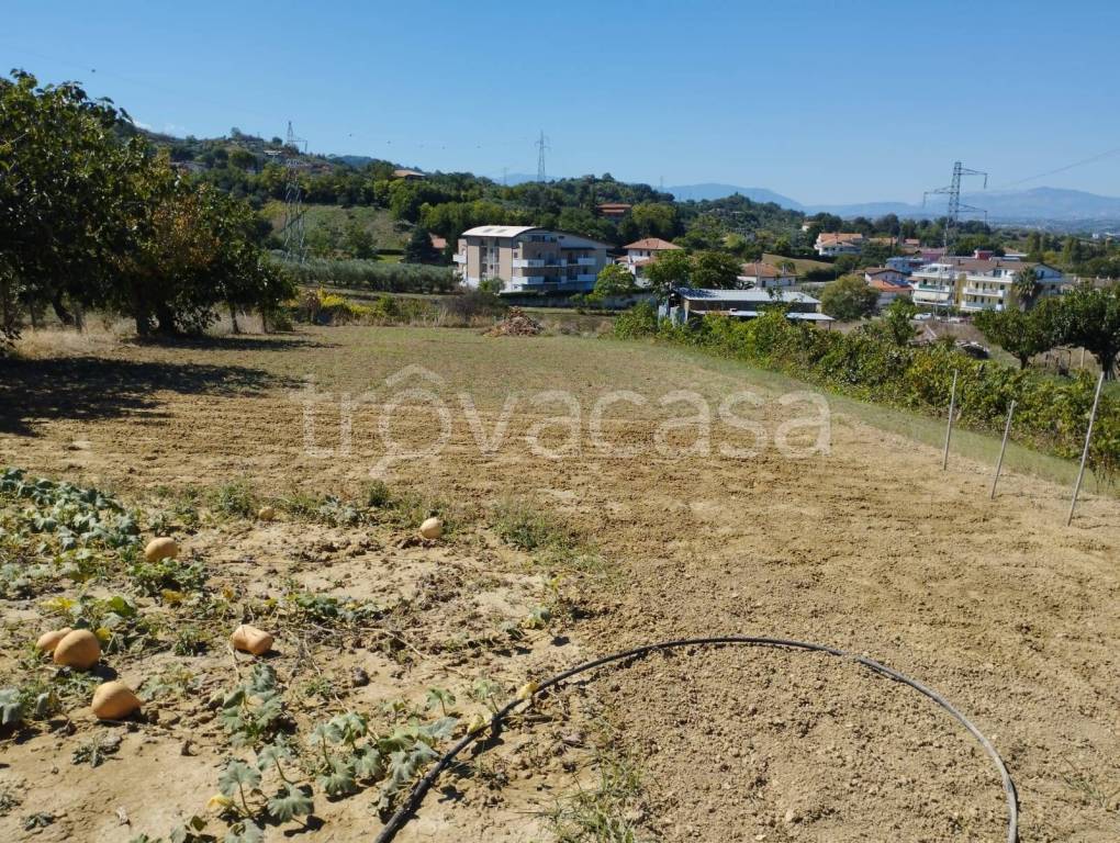 immagine annuncio 4 di 13