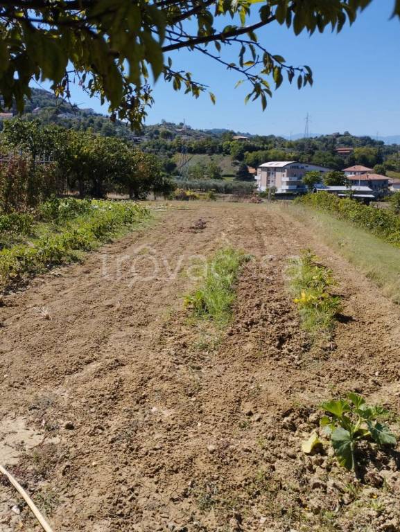 immagine annuncio 5 di 13