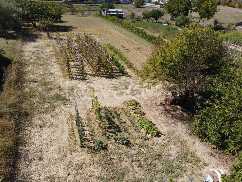 immagine annuncio 10 di 13