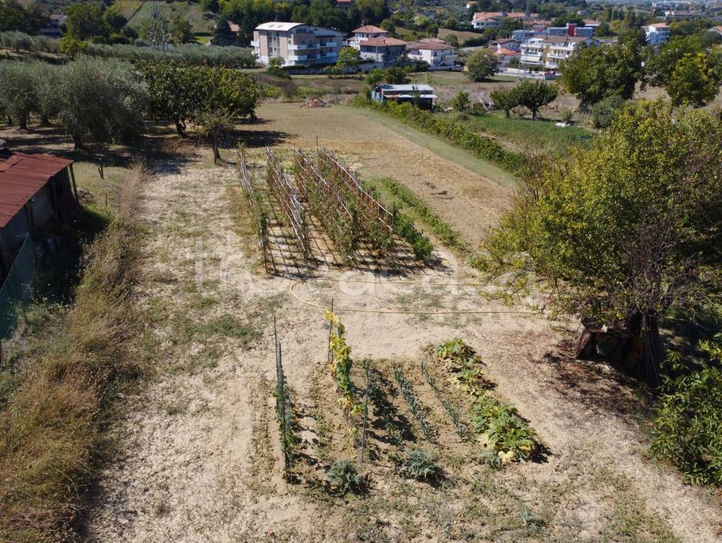 immagine annuncio 7 di 13