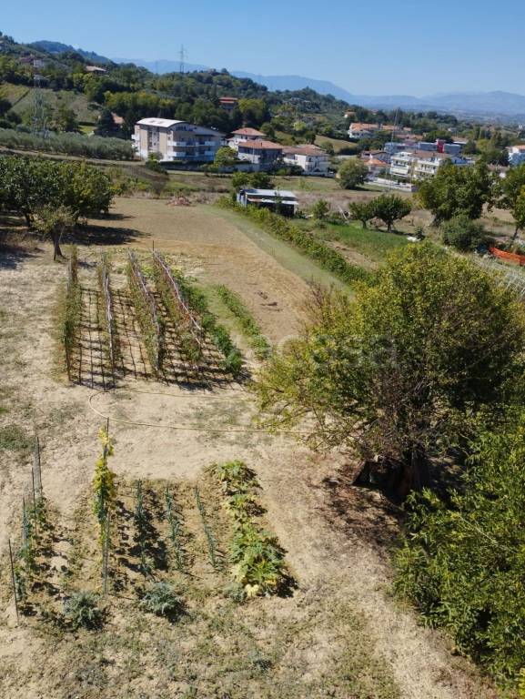 immagine annuncio 11 di 13