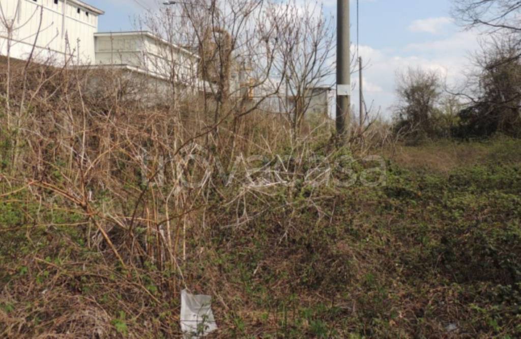 immagine annuncio 8 di 12