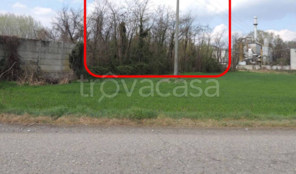 immagine annuncio 10 di 12