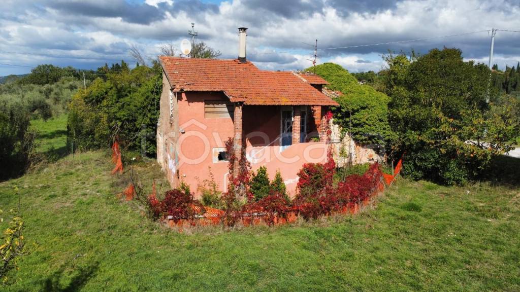 immagine annuncio 6 di 14