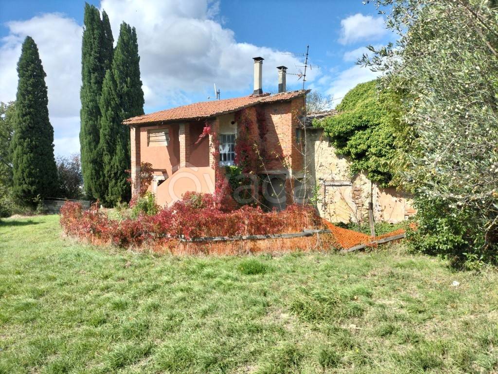 immagine annuncio 7 di 14