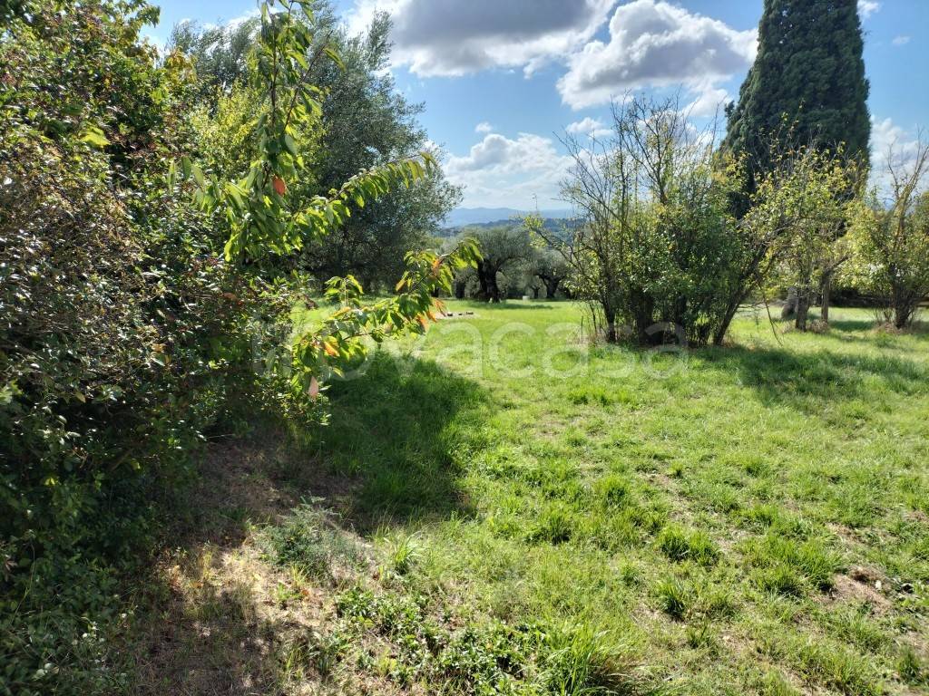 immagine annuncio 10 di 14