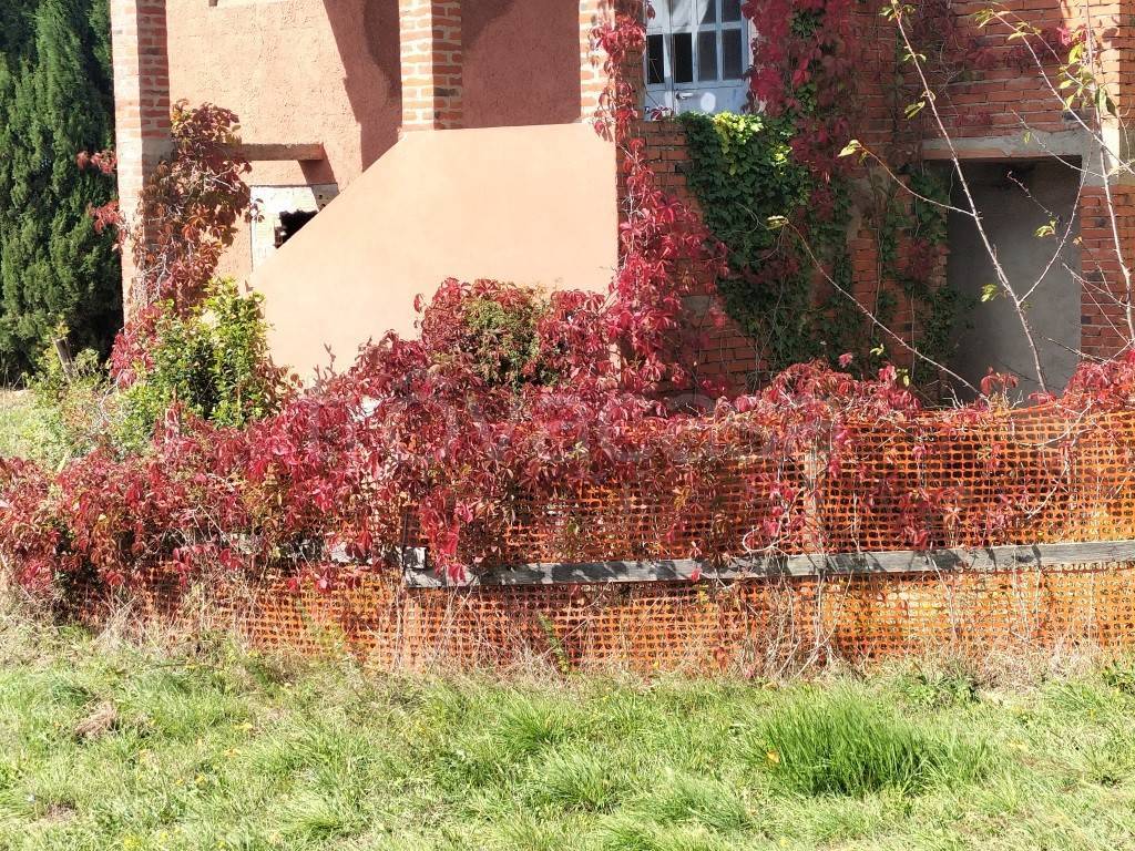 immagine annuncio 11 di 14