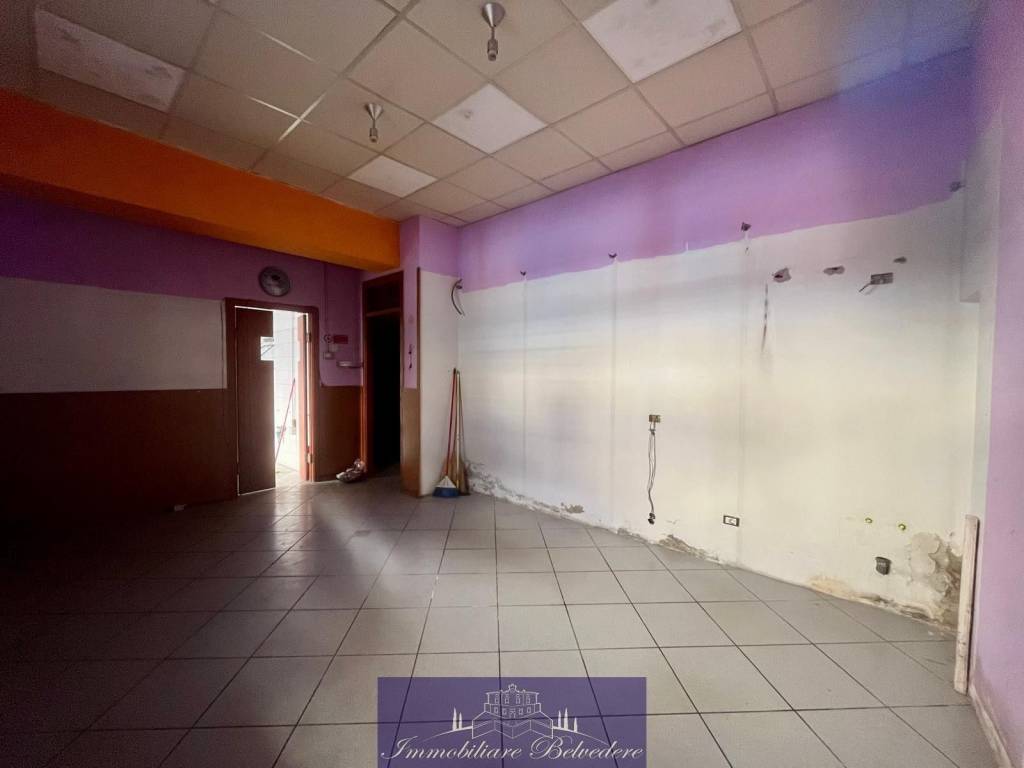 immagine annuncio 12 di 13