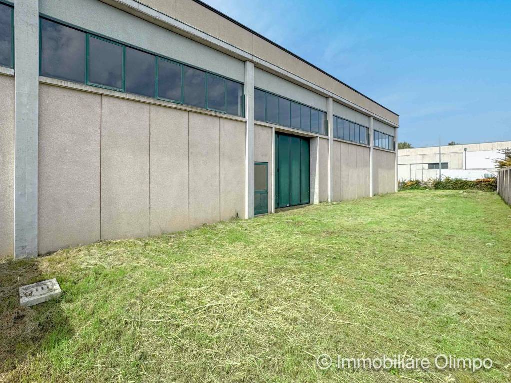 immagine annuncio 1 di 15