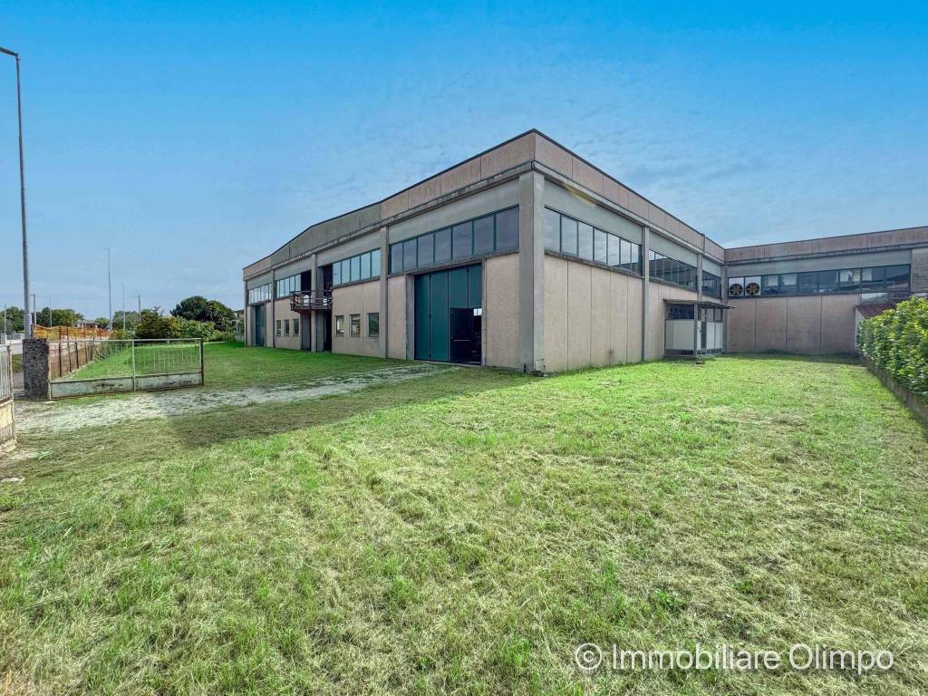 immagine annuncio 2 di 15