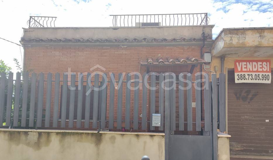 immagine annuncio 3 di 12