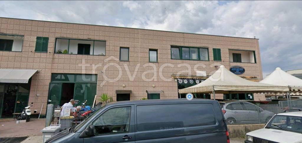 immagine annuncio 1 di 14