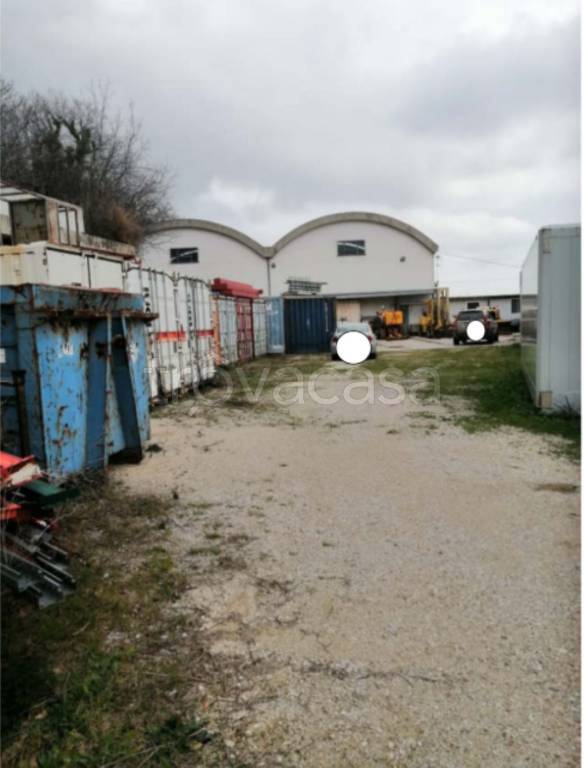 immagine annuncio 2 di 13