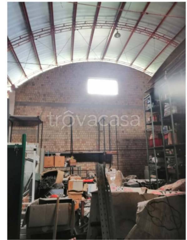 immagine annuncio 4 di 13