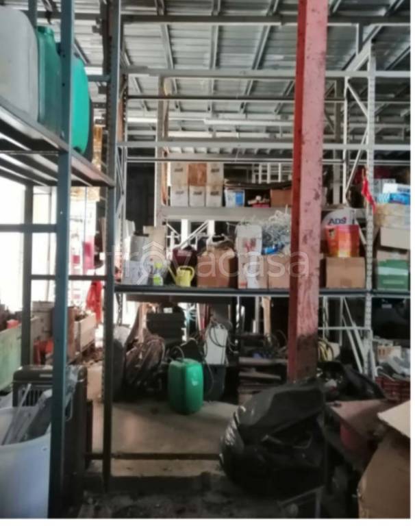 immagine annuncio 7 di 13