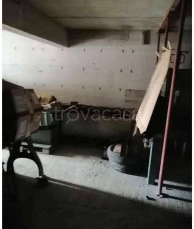 immagine annuncio 12 di 13