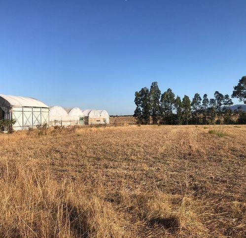 immagine annuncio 3 di 6