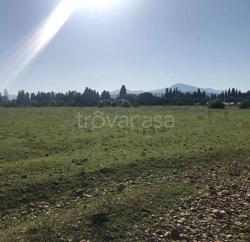 immagine annuncio 5 di 6