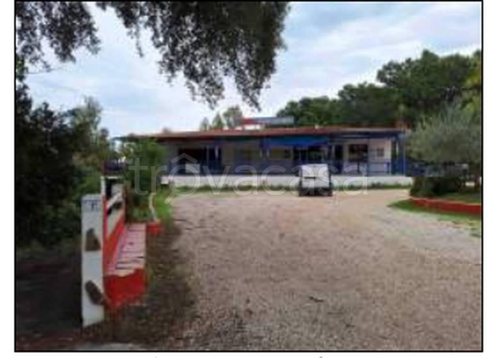 immagine annuncio 8 di 11