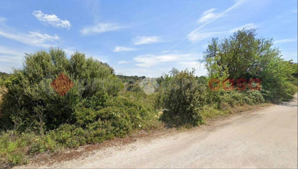 immagine annuncio 8 di 9