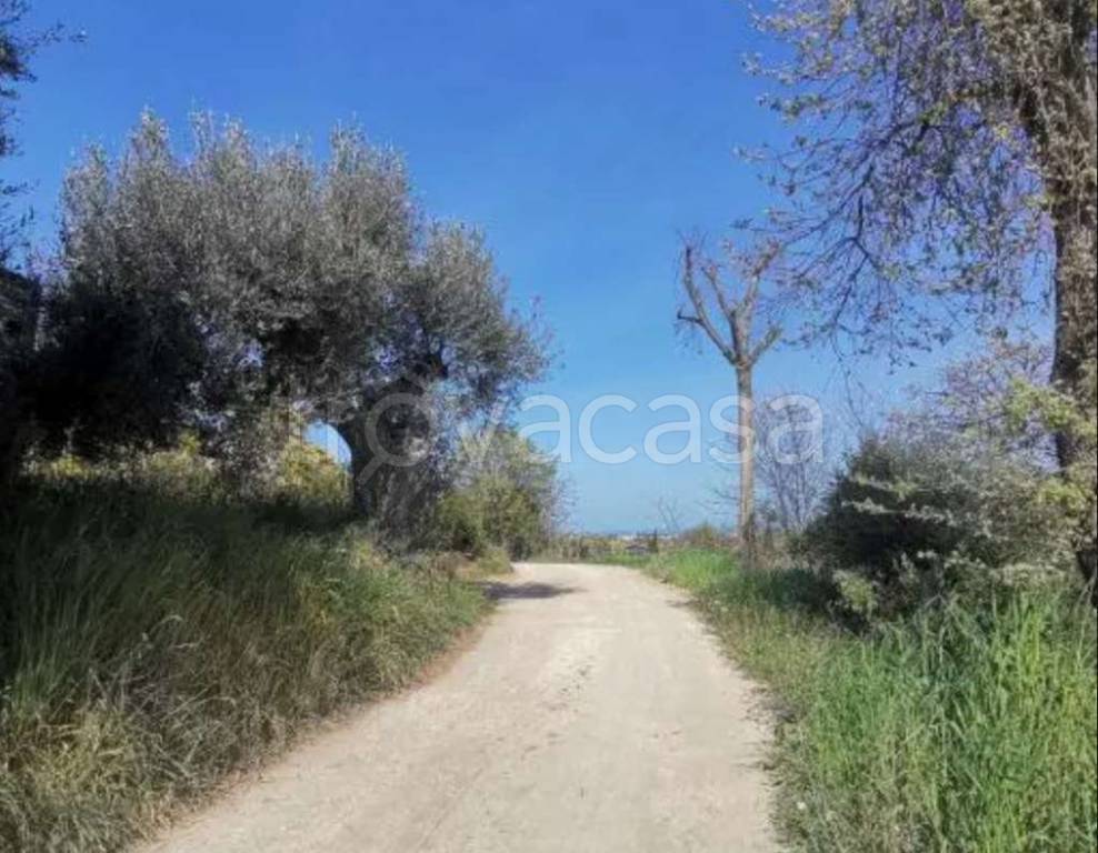 immagine annuncio 1 di 12