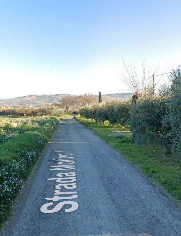 immagine annuncio 5 di 12