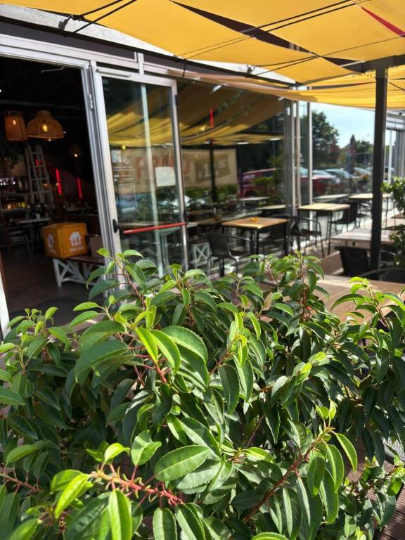 immagine annuncio 4 di 6