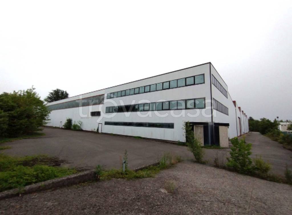 immagine annuncio 11 di 12