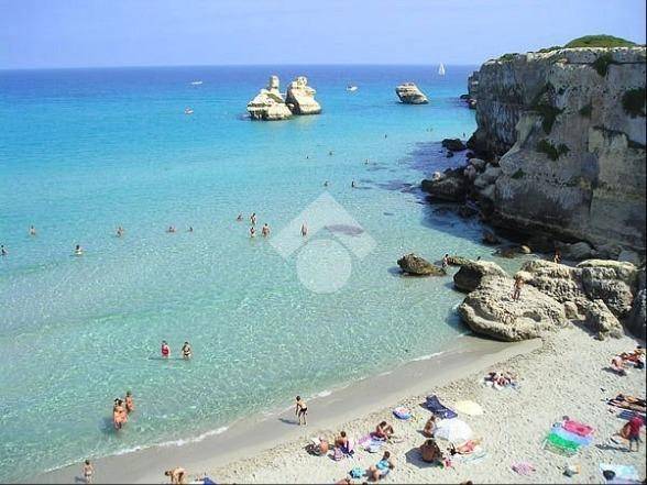 immagine annuncio 10 di 14