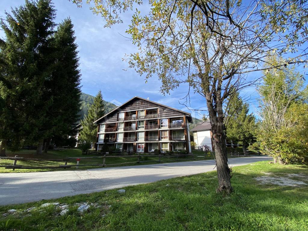 immagine annuncio 1 di 12