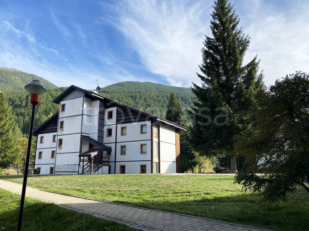 immagine annuncio 3 di 12