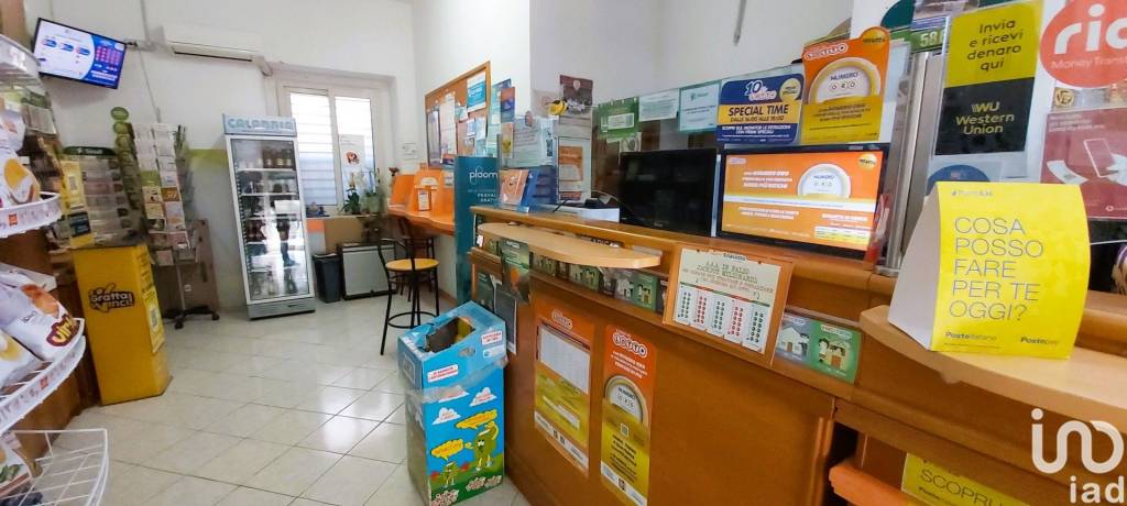 immagine annuncio 3 di 14