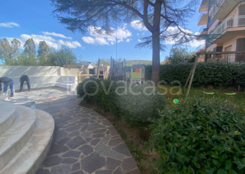 immagine annuncio 3 di 12