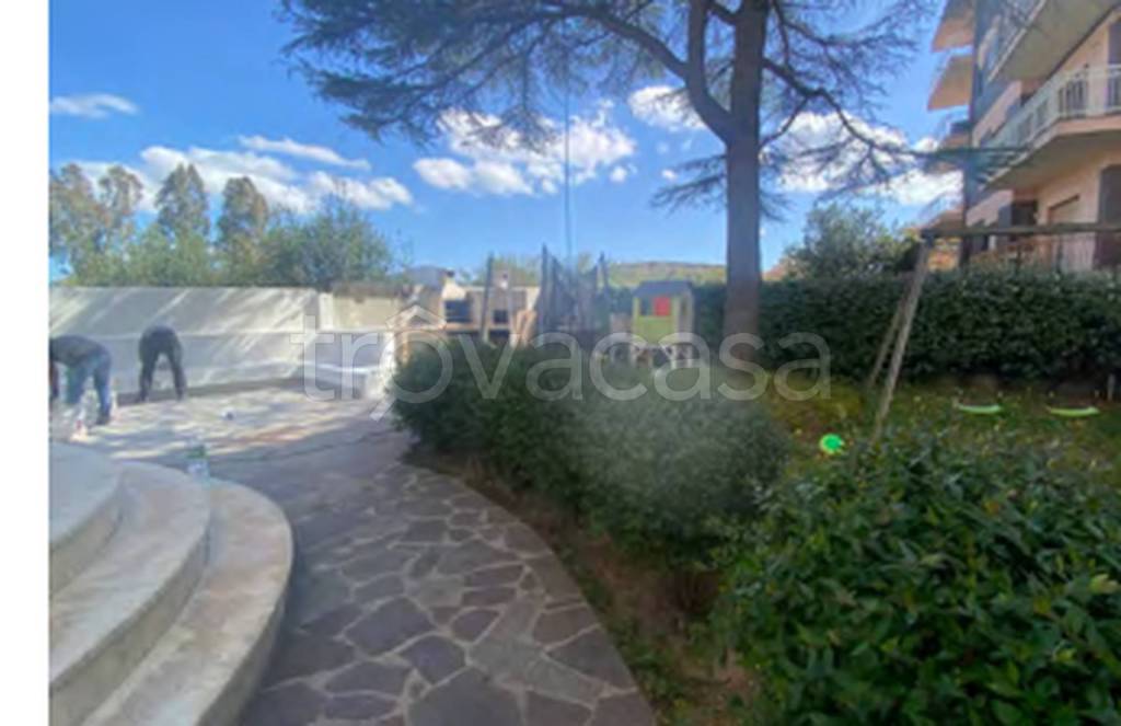 immagine annuncio 5 di 12