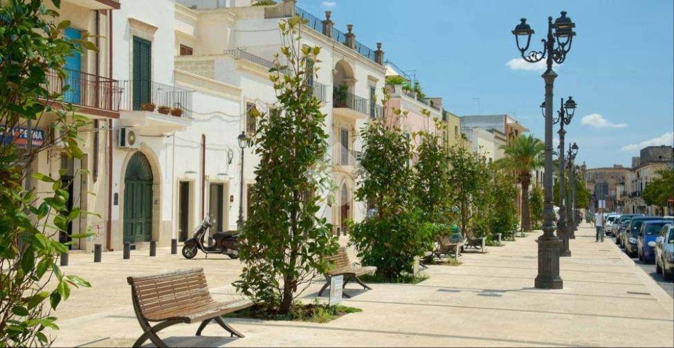 immagine annuncio 12 di 14