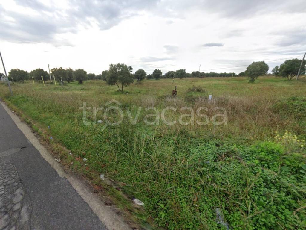 immagine annuncio 2 di 7