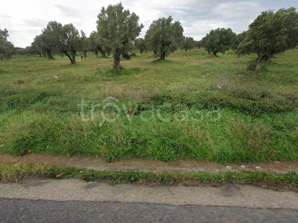 immagine annuncio 3 di 7