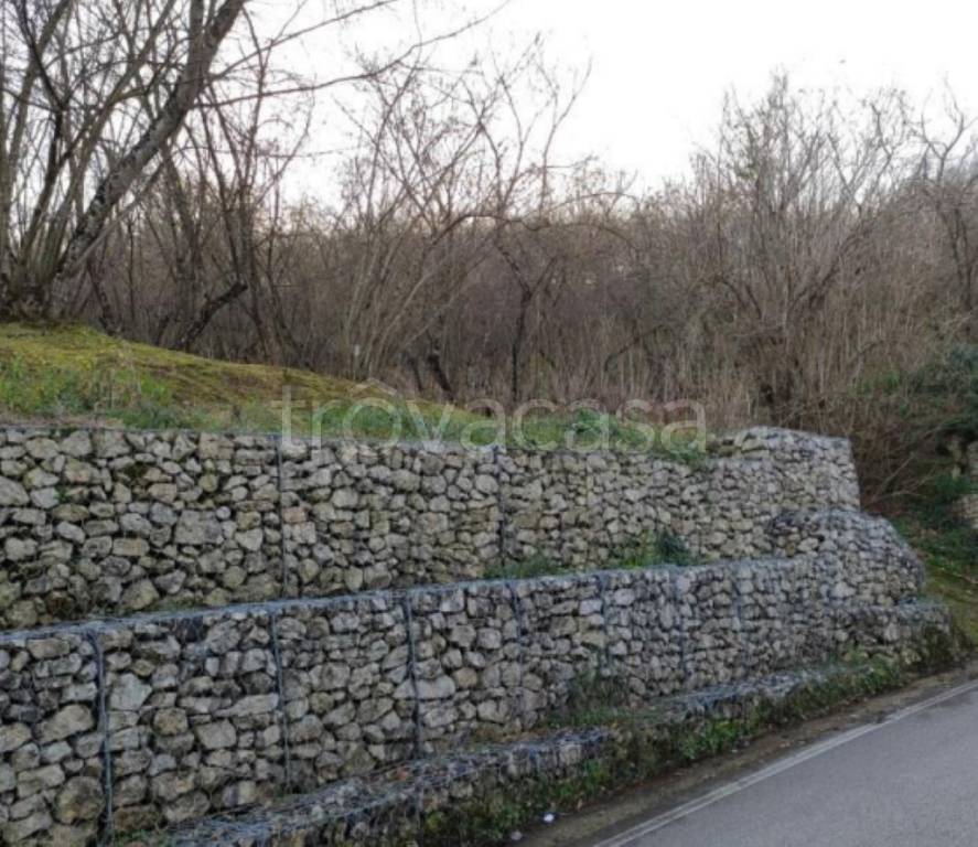 immagine annuncio 8 di 14