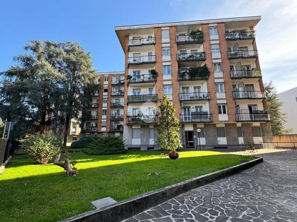 immagine annuncio 6 di 15